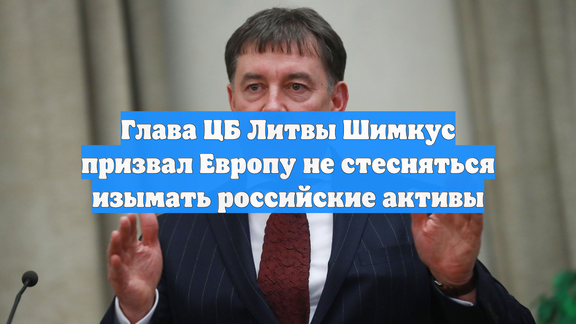 Глава ЦБ Литвы Шимкус призвал Европу не стесняться изымать российские активы