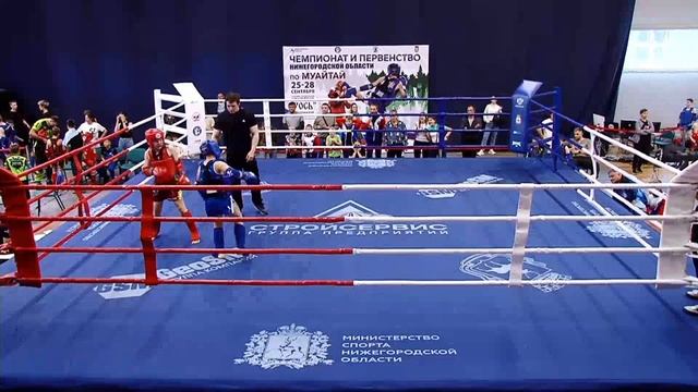 Чемпионат области поединок Льва 26.09.25