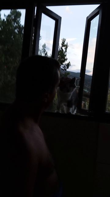 Вадим Горитько с котом