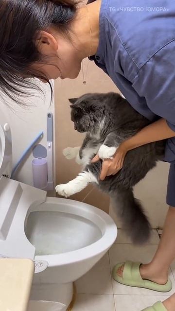 Когда думал, что видел все  👅