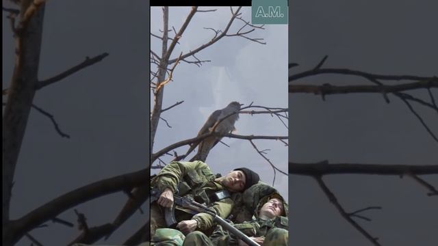 кукушка
