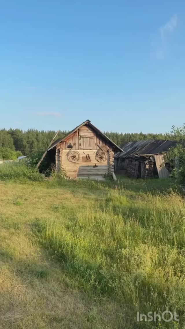На пасеке