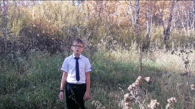 Плиско Антон ученик 4 классаМОУ Школа 23 г.Черемхово