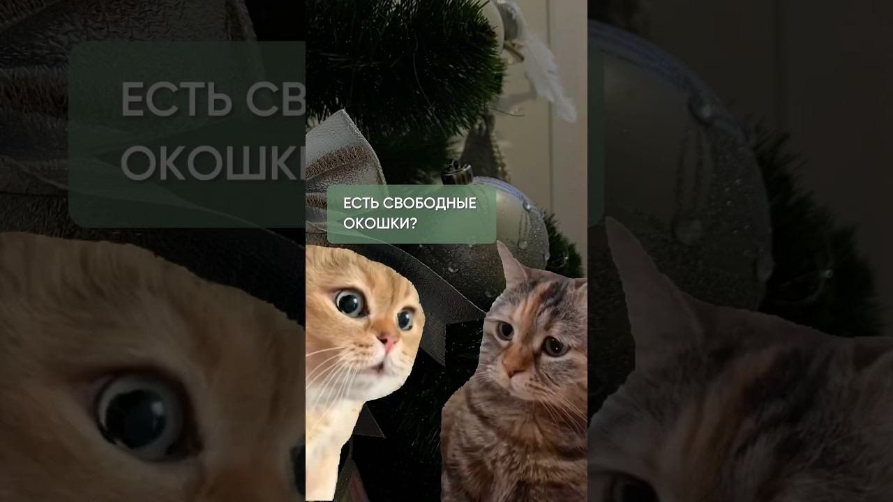 Шел декабрь месяц… #электроэпиляция #косметолог #массаж #нутрициолог #биоревитализация #обучение