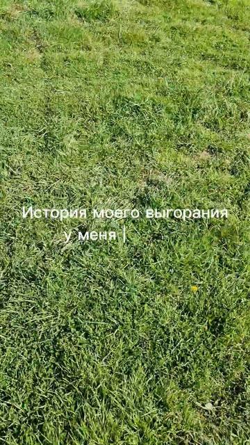 Как я училась заправляться