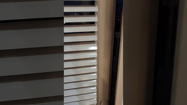1000156132.mp4