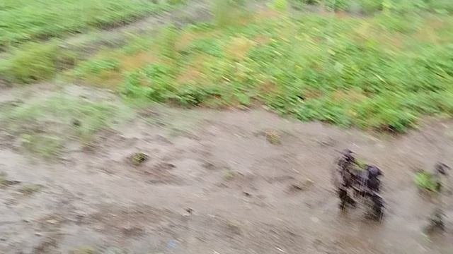 Вторая часть видео о дожде 30.09.2025г.