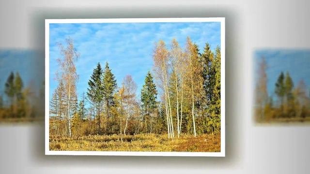 РОССИЯ  А. Твардовский