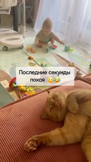 Ох уж эти дети