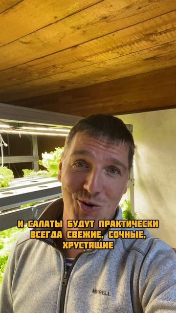Упаковываю салаты