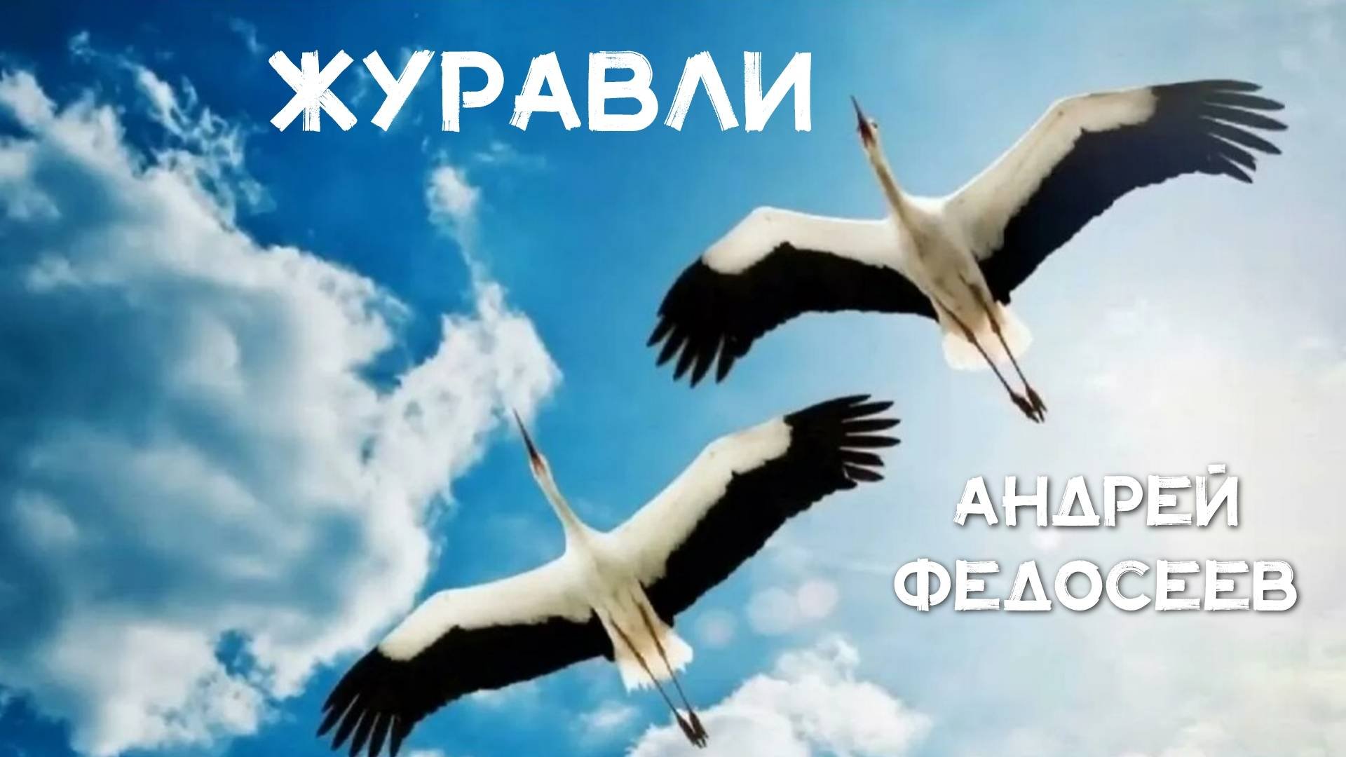 ЖУРАВЛИ осенний шансон Андрей Федосеев