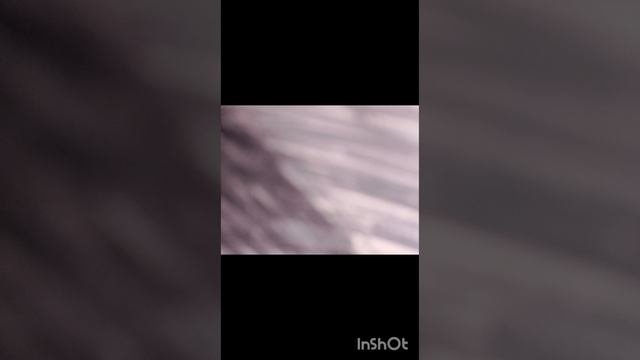1000039553.mp4