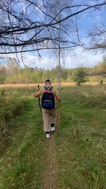 В лесу  21-09-2025