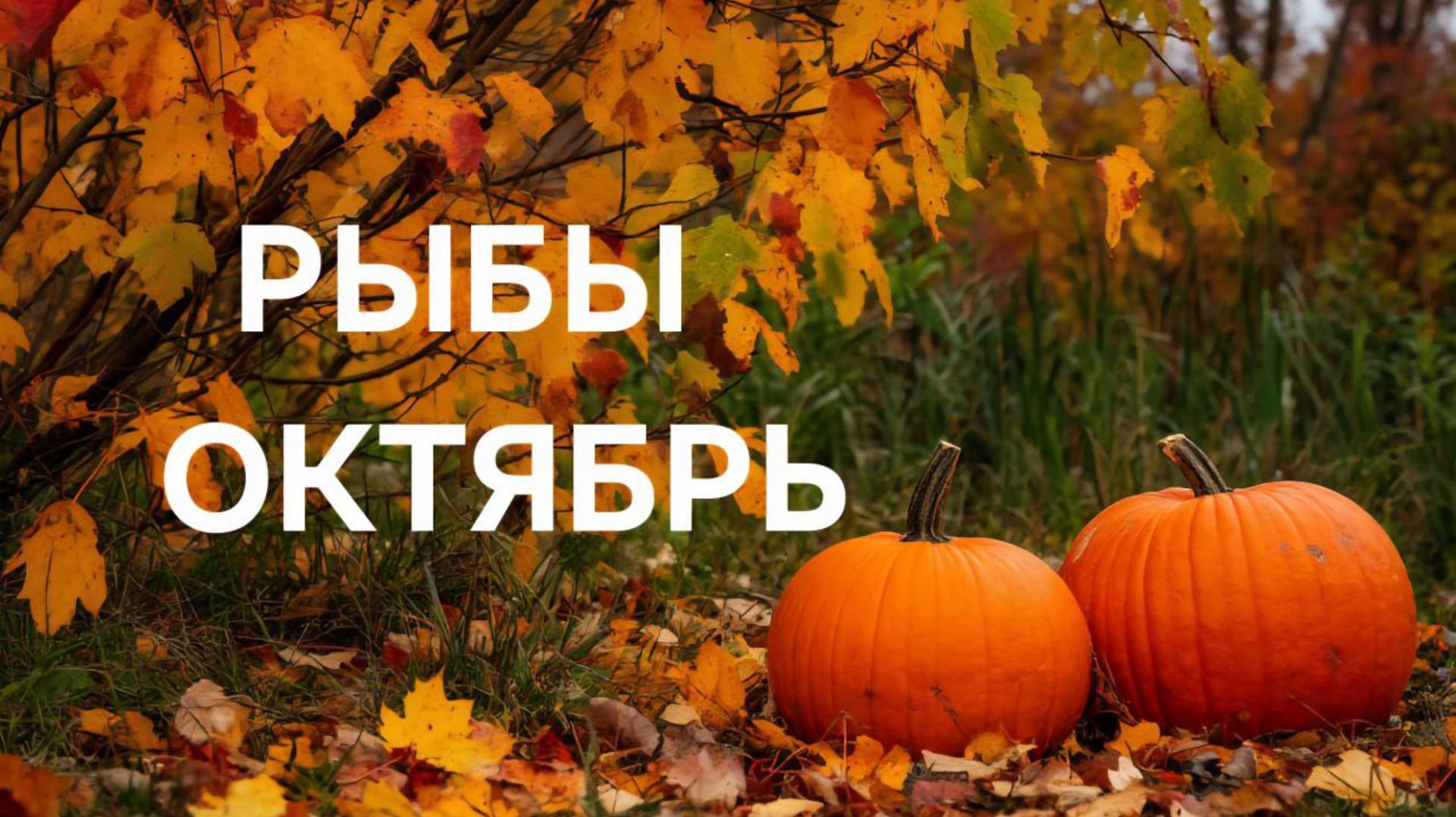 РЫБЫ. ТАРО ПРОГНОЗ НА ОКТЯБРЬ