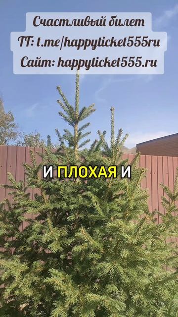 Если мужчина обвиняет ВАС в СВОИХ некрасивых поступках - это манипуляция!