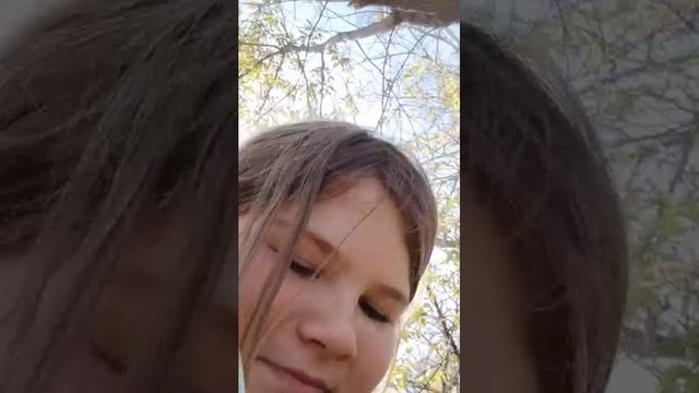 ииттт