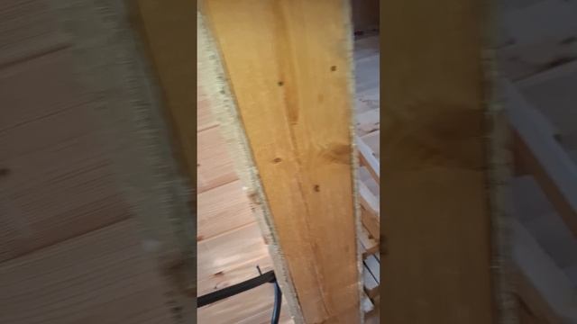 1000035817.mp4 Собака наблюдает за устройством заземления газового оборудования в доме А-фрейм