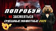 Попробуй не Засмеяться! 😂 УГАРНЫЕ КОТЫ 2025 🐱 3 Минуты СМЕХА 😱 ЛУЧШИЕ ПРИКОЛЫ 2025 С ЖИВОТНЫМИ #1
