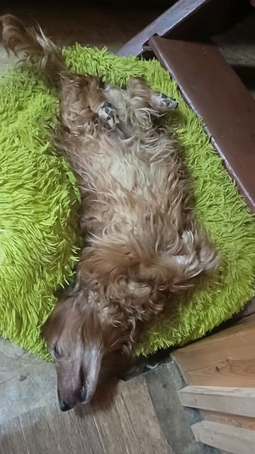 Ванечка 