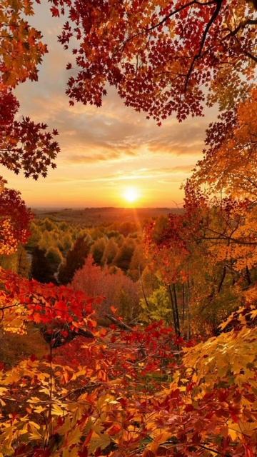 Нейро осень 🍁