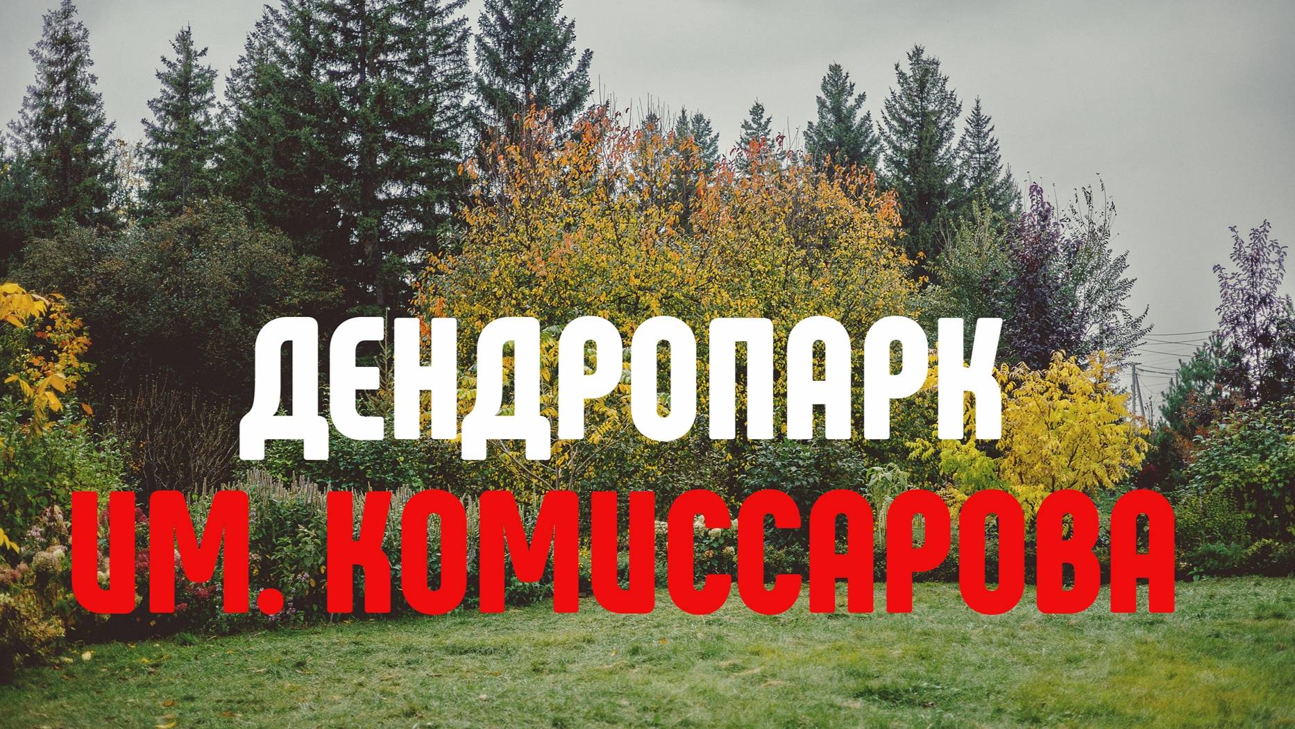 Дендропарк Комиссарова