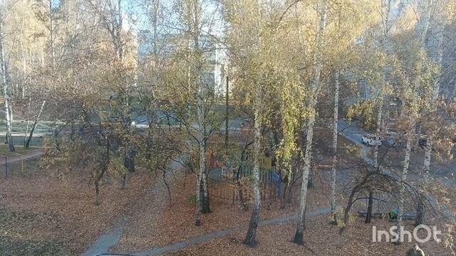 Мы , с Василичем переехали домой