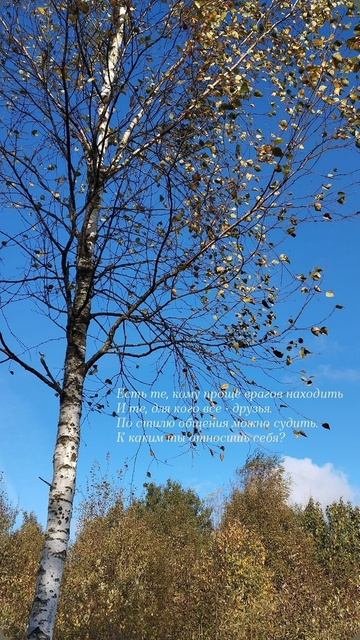 29.09.25 АЗ #ниднябезрифмы