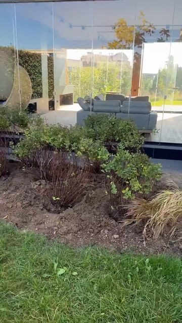 ☀️ Там, где солнца мало, газон не справляется. Решили сделать ставку на кустарники.