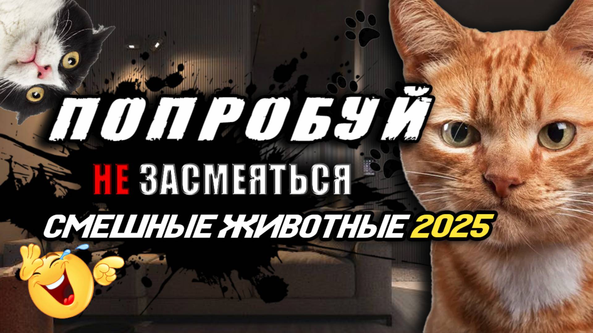 ПОПРОБУЙ НЕ ЗАСМЕЯТЬСЯ 😂 СМЕШНЫЕ ЖИВОТНЫЕ 2025 🐱 3 МИНУТЫ СМЕХА 😱 ЛУЧШИЕ ПРИКОЛЫ 2025 С КОТАМИ #1
