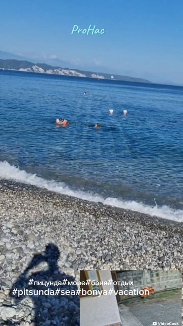 #пицунда#море#боня#отдых#pitsunda#sea#bonya#vacation