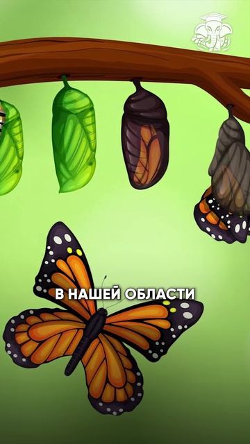 Самое прекрасное в природе