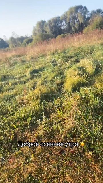 Доброе утро ☀️