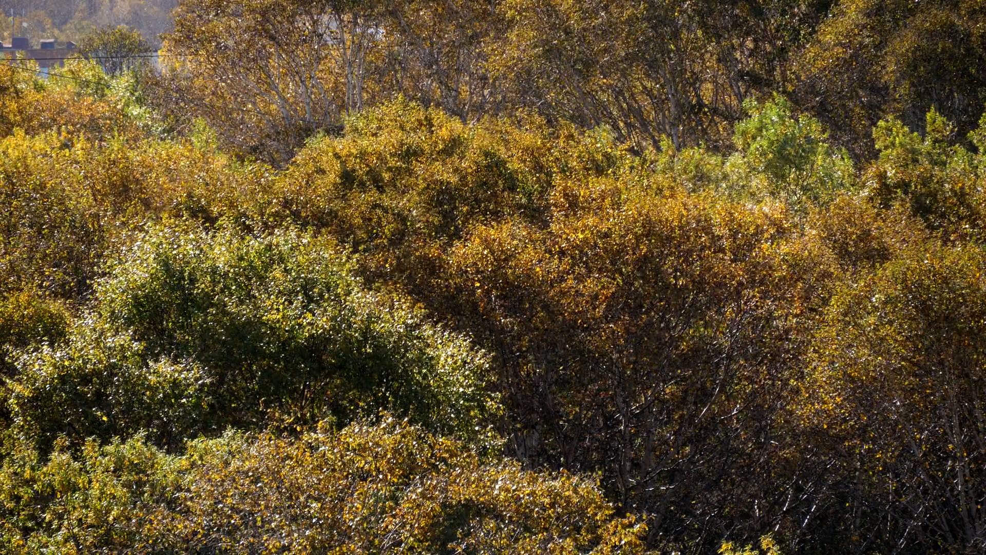 ПРЕКРАСНАЯ ПОРА | Новости Камчатки | Масс Медиа