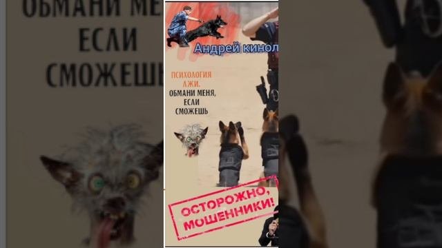 Лев взаперти