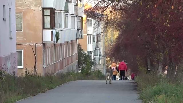 Диалог с жителями: Алексей Герасимов рассказал о планах развития Каменска-Уральского