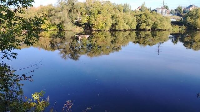 Иду вдоль реки Пахра, на природе - (4)