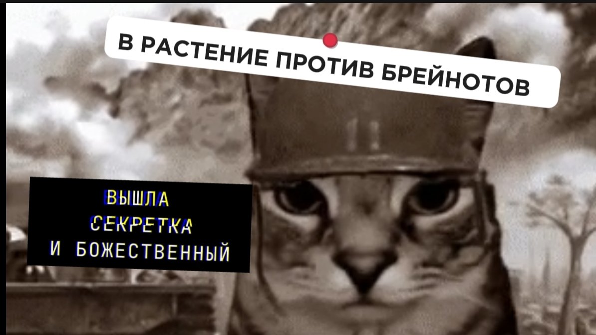ВЫШЛА СЕКРЕТКА И БОЖЕСТВЕННЫЙ В РАСТЕНИЯ ПРОТИВ БРЕЙНОТОВ