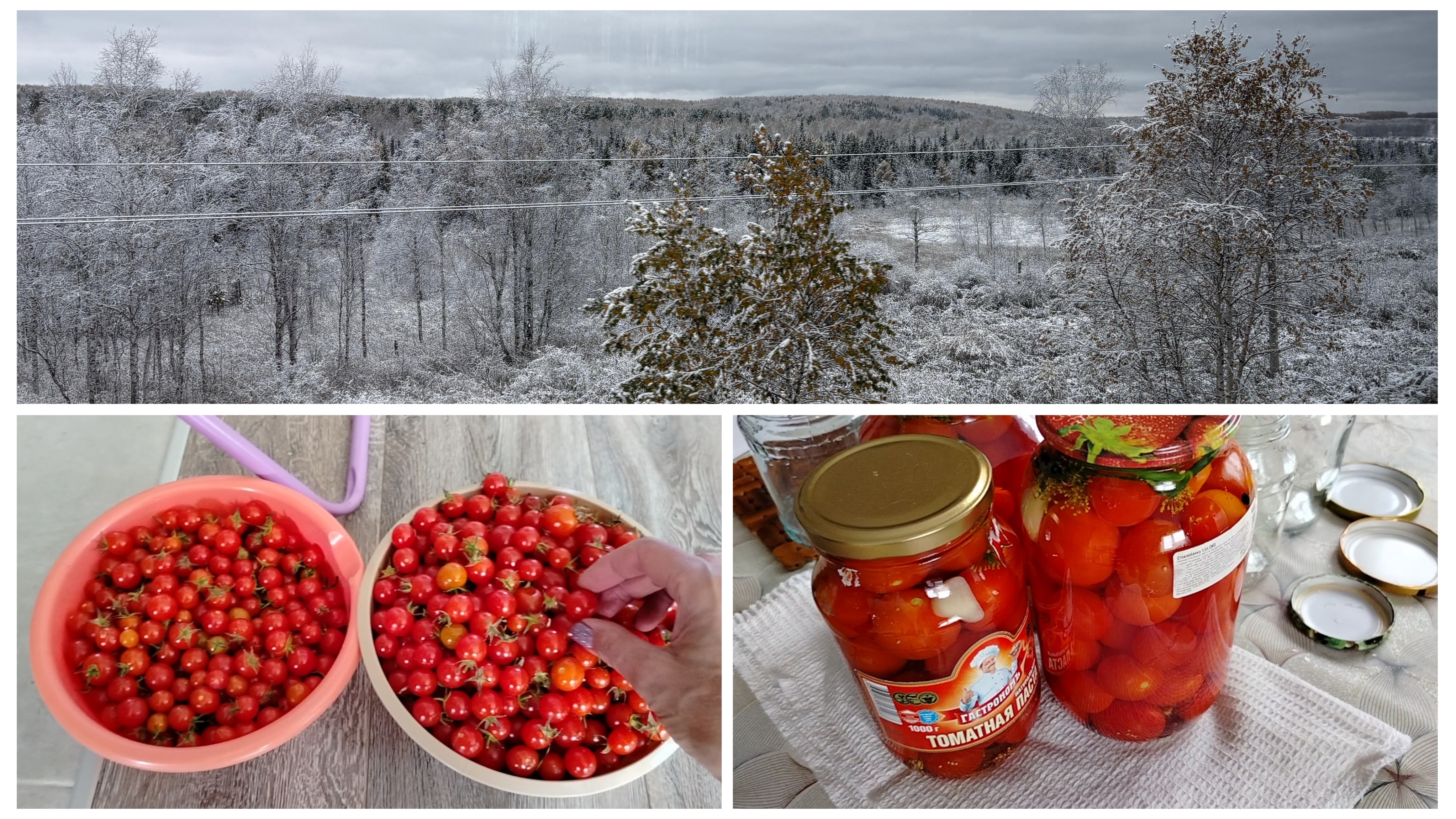 Последний аккорд🍅Наваяла😀