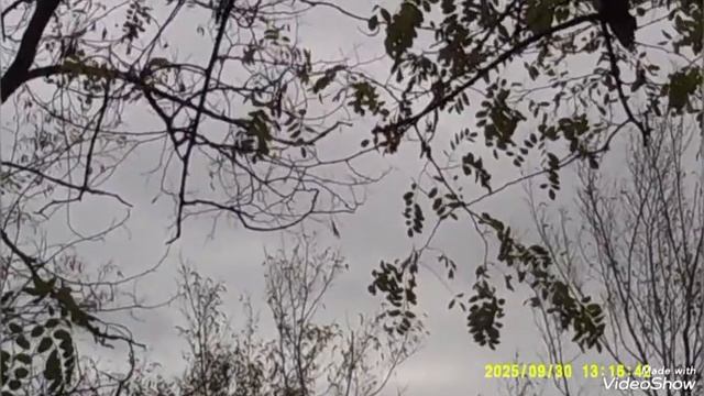 В Мариуполе осень ☁️🍁🍁🍁🏗️🏢