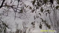 В Мариуполе осень ☁️🍁🍁🍁🏗️🏢