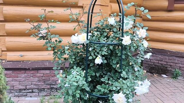 Сартаково. Святой источник. Владимирская церковь и музей « Березополье ». Счастье, что восстановили.