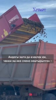 Бәрәңгене икенче икмәк дип атап, халык әлеге культураны бик югары бәяләгән.