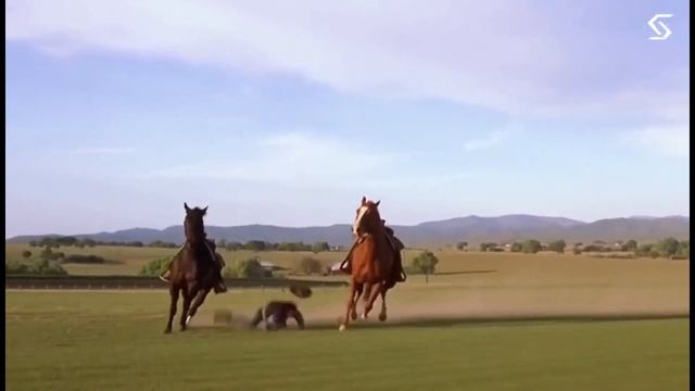 Sora 2 уже доступна