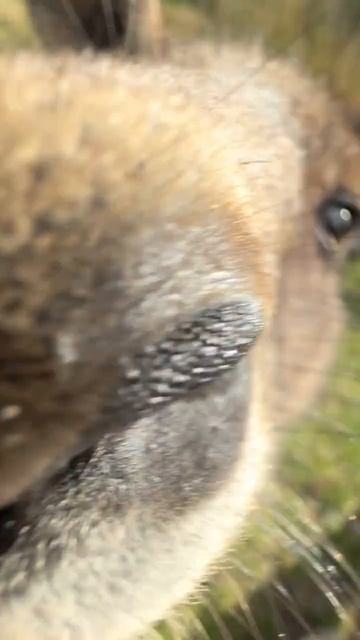 VID_20251001_081424_753.mp4