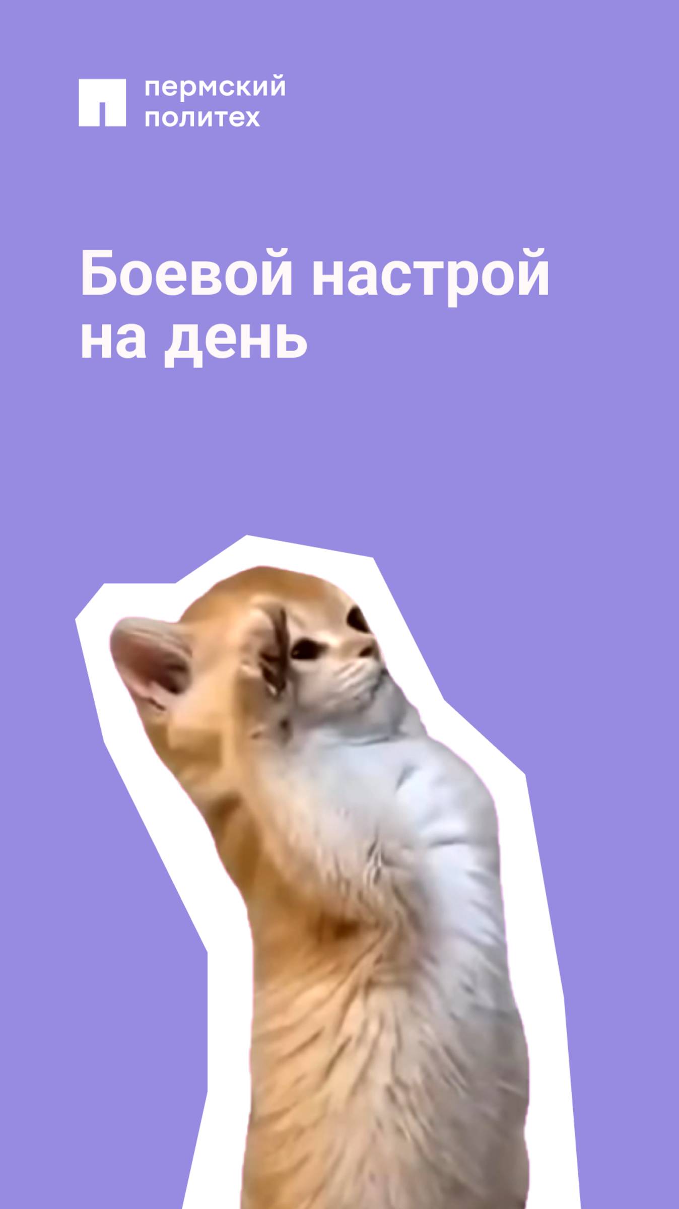 Рядовой студент к получению знаний готов!