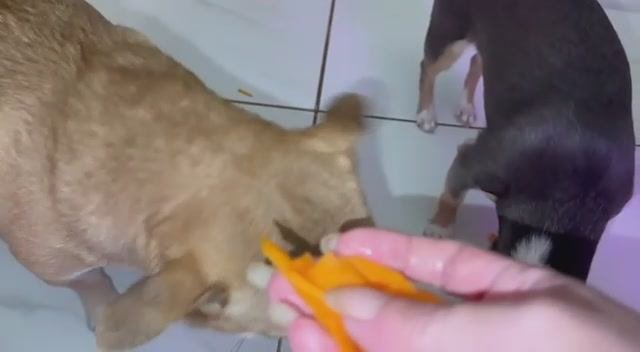Утренний витаминный перекус.