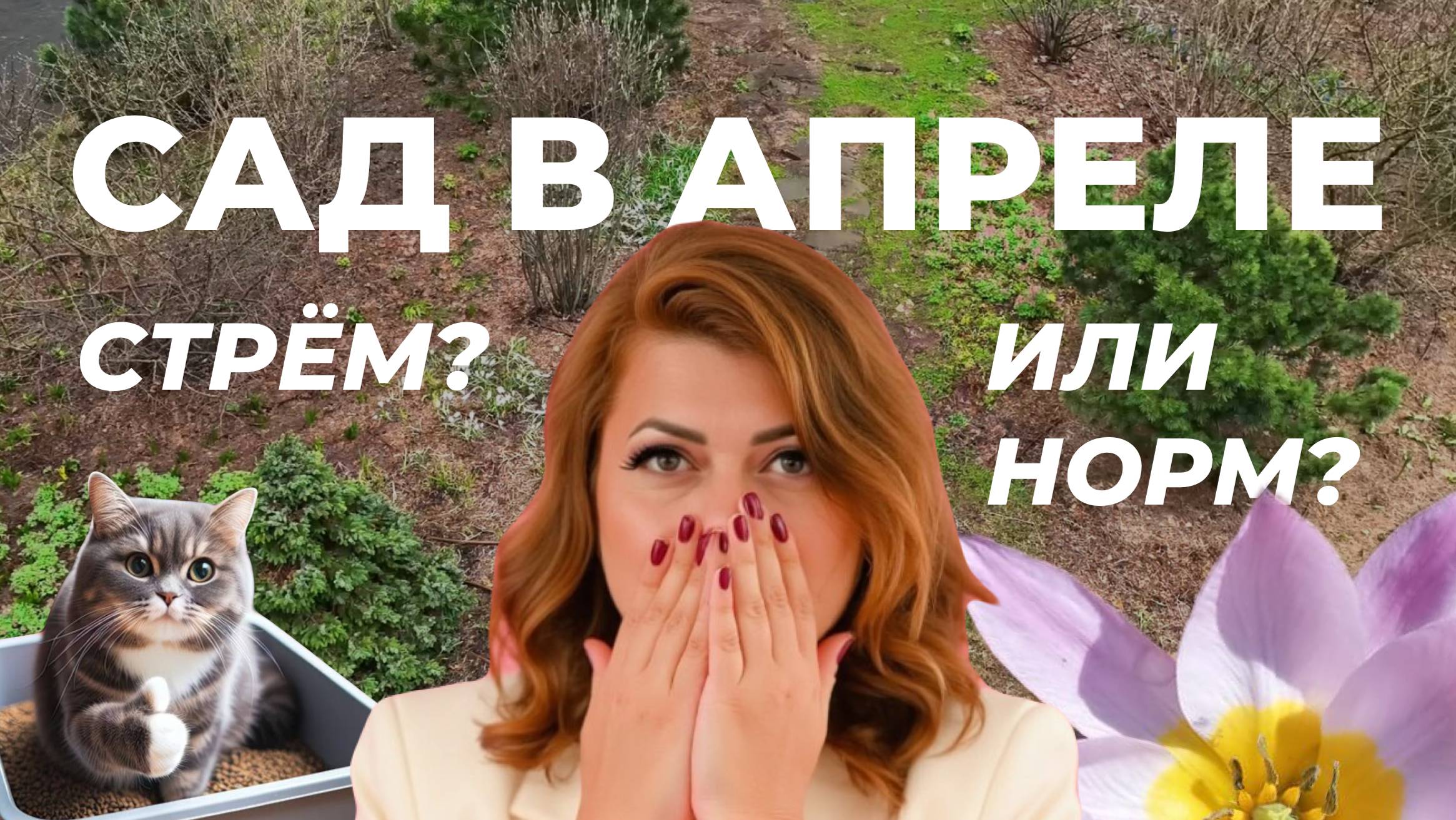 Сад в апреле. Стрём или норм?