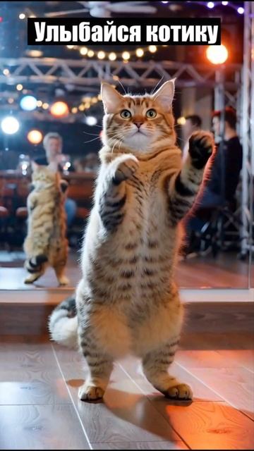 И жизнь ярче) #кот #котики #юмор #счастье #приколы