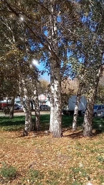 1 октября, погода, будет снег, Юрий Шатунов