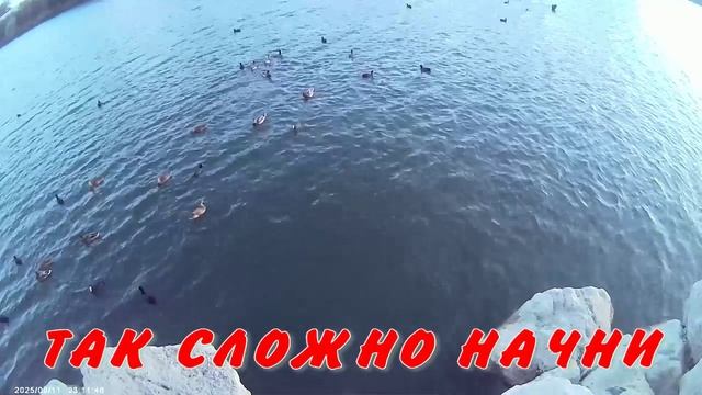 ИНСТРУМЕНТЫ